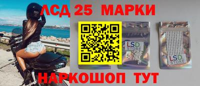 шишки Изобильный