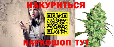 шишки Изобильный