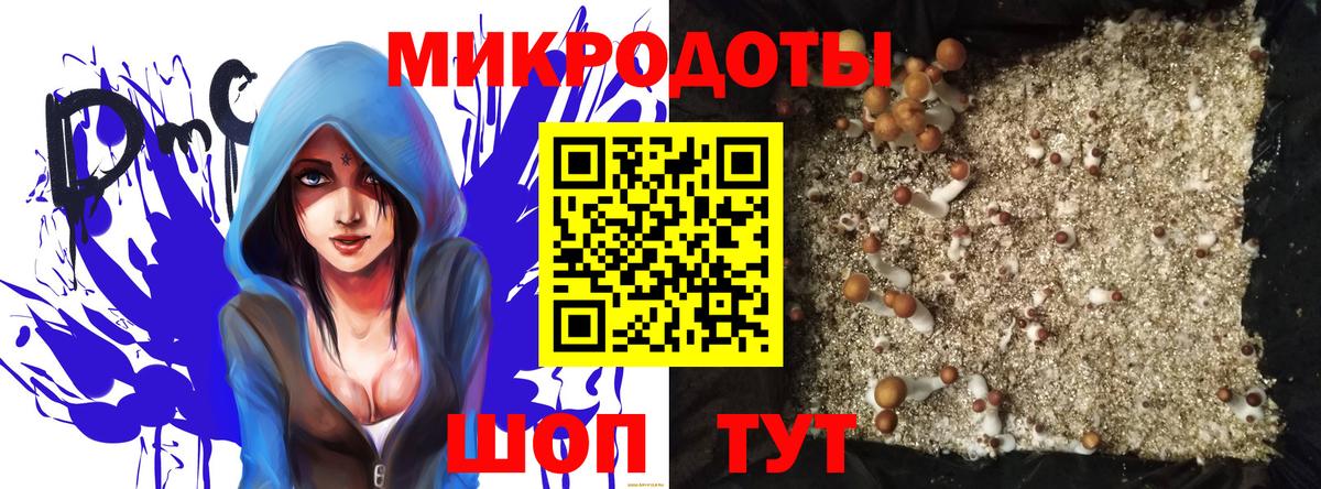 Галлюциногенные грибы GOLDEN TEACHER Кызыл