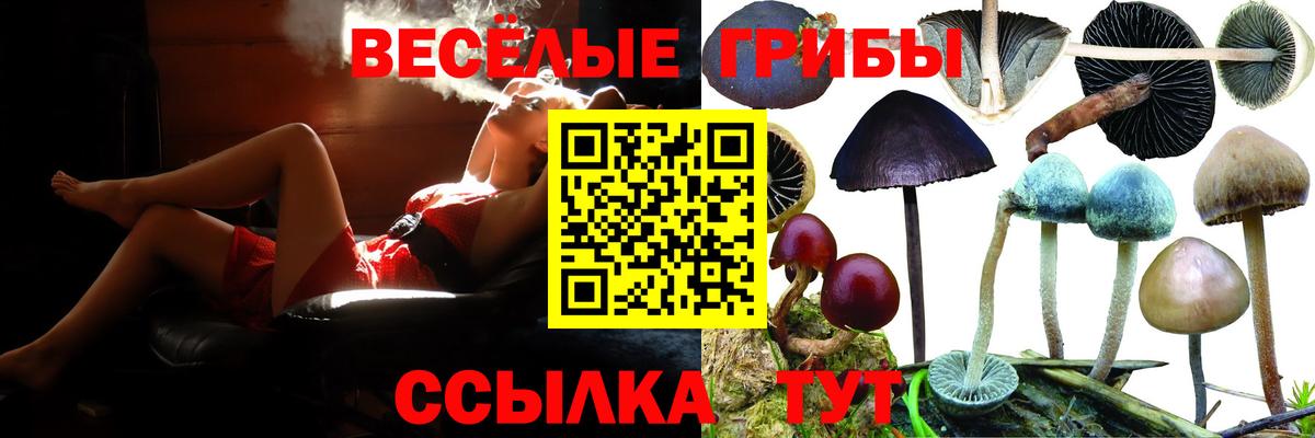 Псилоцибиновые грибы GOLDEN TEACHER  Вход с VPN  Кызыл 